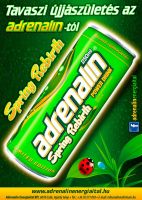adrenalin-spring-rebirth-energy-drink-can-2015-limited-editions