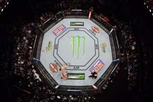 monster-energy-drink-become-ufc-mma-sponzor-usa-can-rings