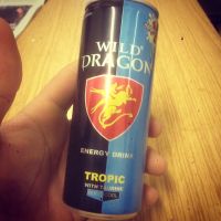wild-dragon-energy-drink-tropical-250mls
